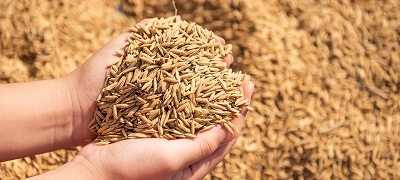 agricultural chemical solutions